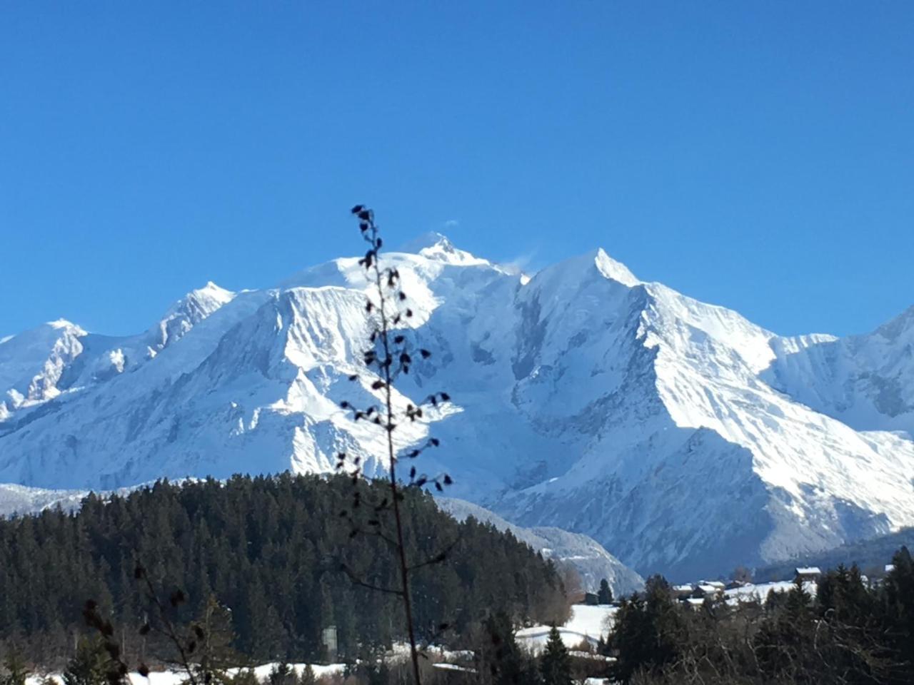 Les 4 Vallees Hotel Albertville Eksteriør billede